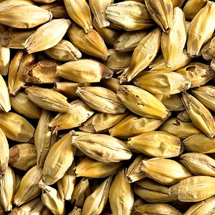 MALTA AROMATIC MALT