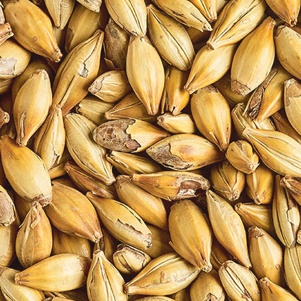 CRYSTAL LIGHT MALT
