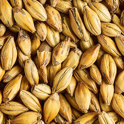 CRYSTAL MEDIUM MALT
