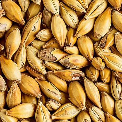 CRYSTAL T 50 MALT
