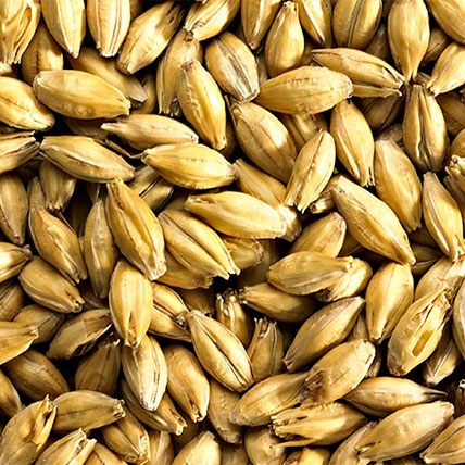 FINEST P.A MARIS OTTER MALT