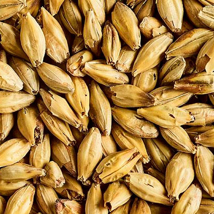 PREMIUM ENGLISH CARAMALT MALT