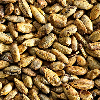 RED RYE CRYSTAL MALT