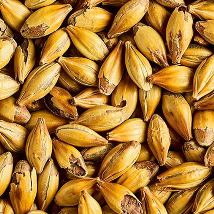 SIMPSONS DRC MALT