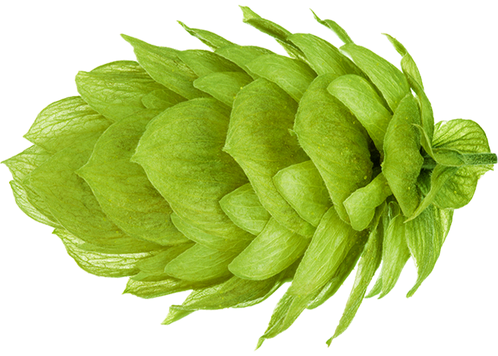 HOUBLON NELSON SAUVIN PELLET 