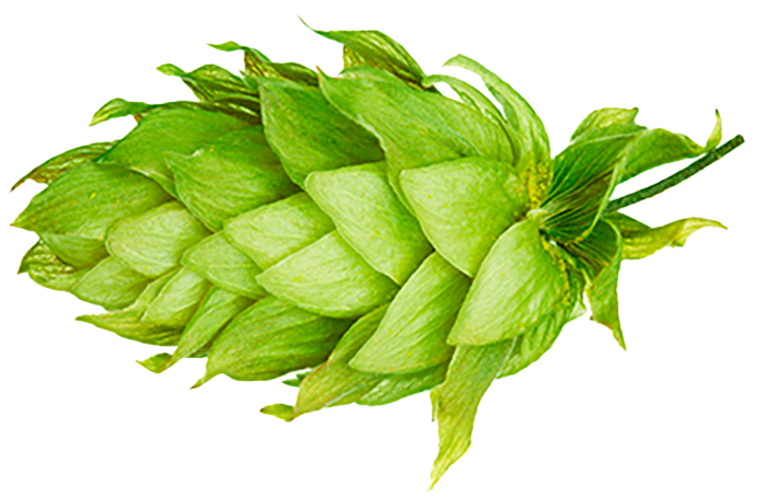 HOUBLON KOHATU PELLET 