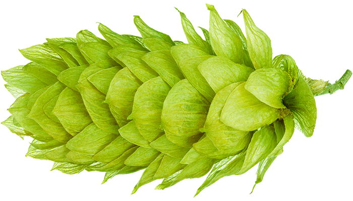 HOUBLON PACIFIC SUNRISE PELLET 