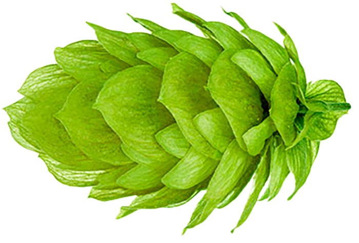 HOUBLON WAI-ITI PELLET 