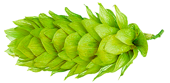 HOUBLON RAKAU PELLET 