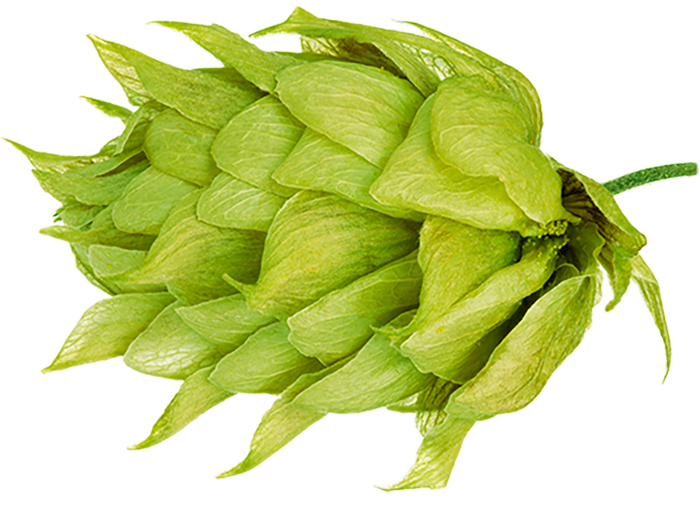 HOUBLON RIWAKA PELLET 