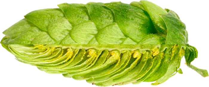 HOUBLON CASCADE PELLET 