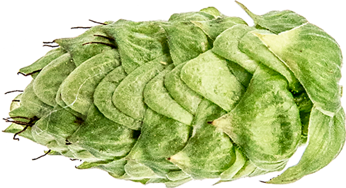 CRYOPELLET SABRO        
