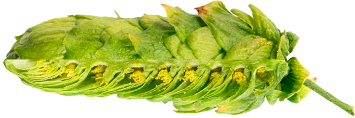 HOP HUELL MELON PELLET 