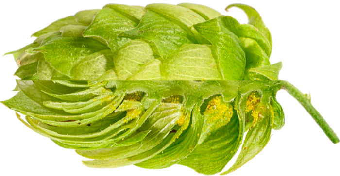 HOUBLON TRADITION PELLET 