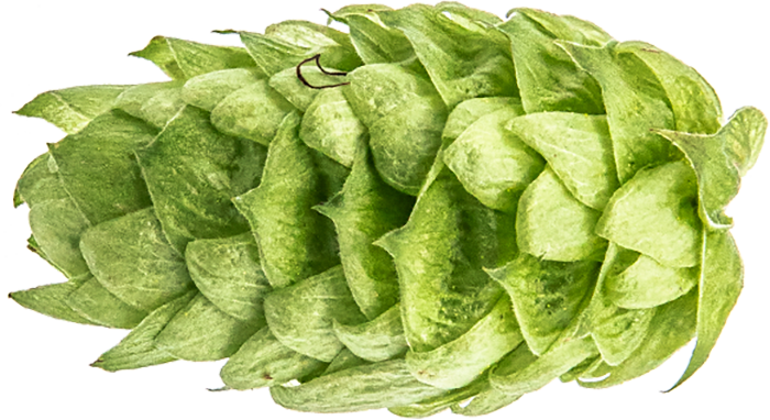 HOUBLON ECO MOSAIC PELLET 