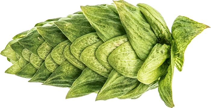 ECO HOUBLON CASCADE PELLET 2022