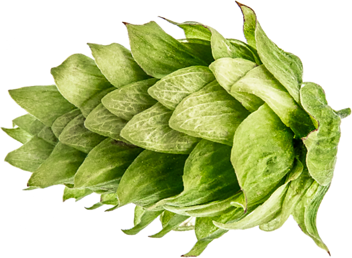 ECO HOUBLON CHINOOK PELLET 2022 