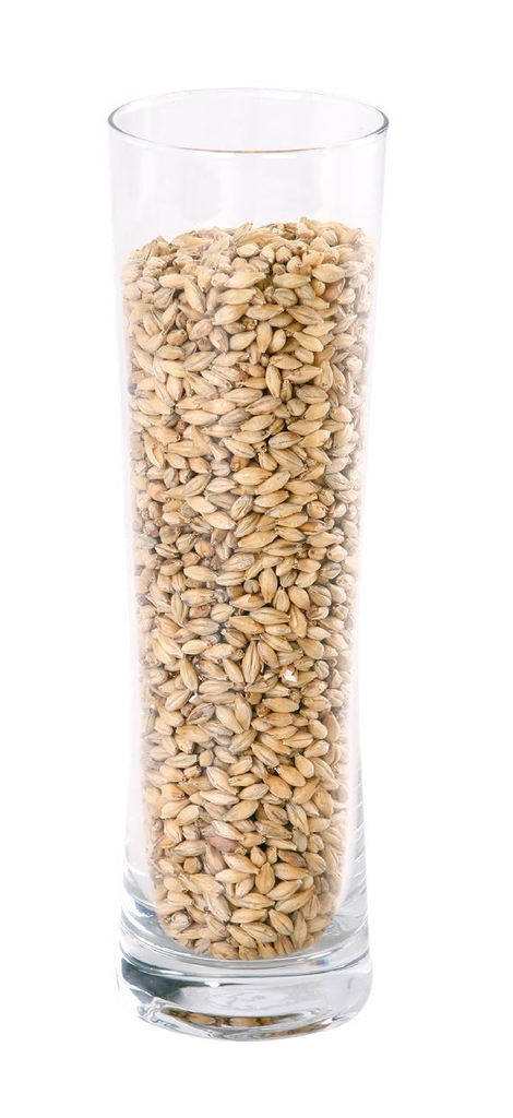 IREKS PALE ALE MALT                    