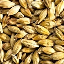 AROMATIC MALT