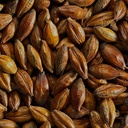 BLACK MALT