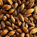 MALTA BROWN MALT