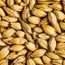 CARAMALT MALT
