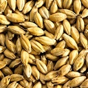 FINEST P.A MARIS OTTER MALT