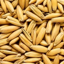 OAT MALT