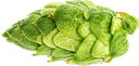 CRYOPELLET CITRA 2022                