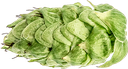 CRYOPELLET SABRO 2022         