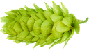 HOUBLON PACIFIC SUNRISE PELLET HR 2023