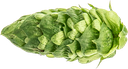 CRYOPELLET SIMCOE 2023