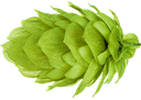 HOUBLON NELSON SAUVIN PELLET 