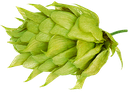 HOUBLON RIWAKA PELLET 