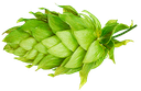 HOUBLON KOHATU PELLET 