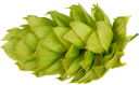 HOUBLON MOUTERE PELLET 