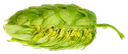 HOUBLON AMARILLO PELLET 1KG