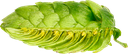 HOUBLON CASCADE PELLET 1KG