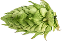CRYOPELLET CENTENNIAL 
