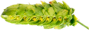 HOUBLON HUELL MELON PELLET 