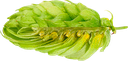HOUBLON PERLE PELLET 