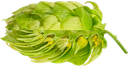 HOUBLON TRADITION PELLET 