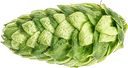 CRYOPELLET LORAL 
