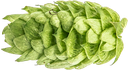 HOUBLON ECO MOSAIC PELLET 