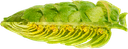 HOUBLON POLARIS PELLET 