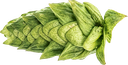 ECO HOUBLON CASCADE PELLET 2022