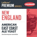 LEVURE NEW ENGLAND 11GR           