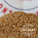 MALT WHEAT MALTIERS             